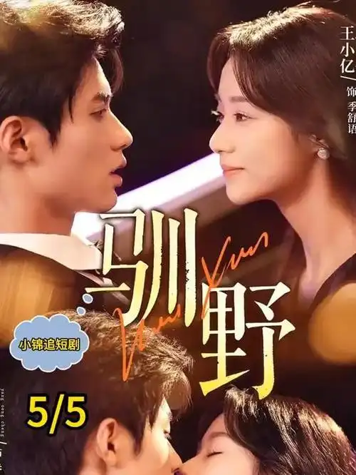 都市职场剧长夜将明全集免费观看封面
